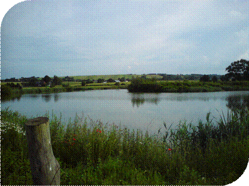 DSC00336.JPG